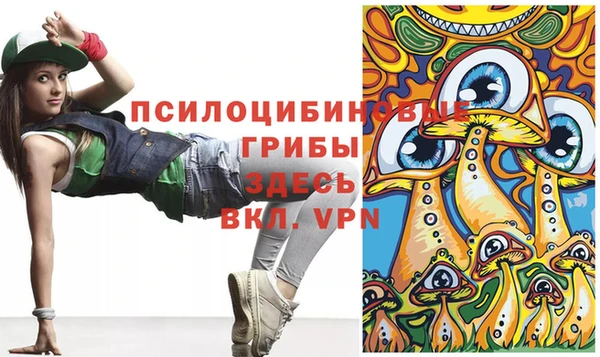 дживик Магас