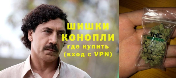 дживик Магас