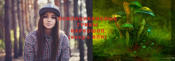 гидропоника Горнозаводск