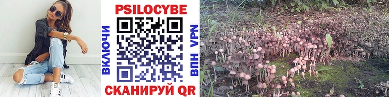 OMG зеркало  Пласт  Псилоцибиновые грибы MAGIC MUSHROOMS 